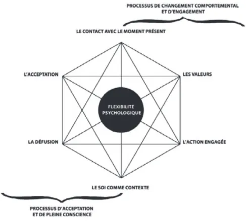 Figure 5 : Le modèle thérapeutique de l'ACT, l'Hexaflex 