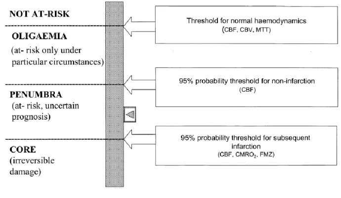 Figure 10 : les différentes catégories d’altération du parenchyme cérébral et leur réversibilité  selon le seuil (90)  