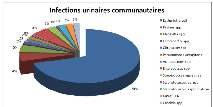 Figure n°1 : Epidémiologie des infections urinaires communautaires (7). 