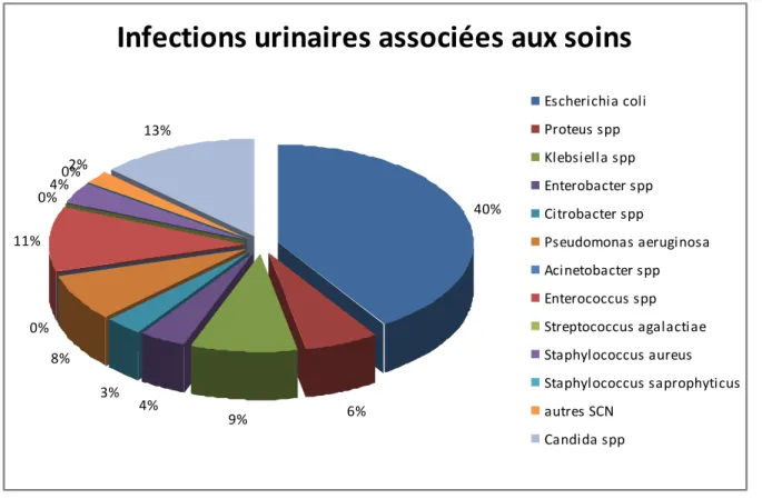 Figure n°2 : Epidémiologie des infections urinaires associées aux soins (66). 