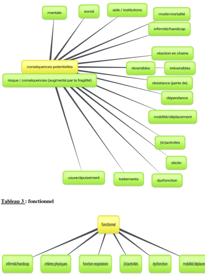 Tableau 2 : les conséquences de la fragilité 