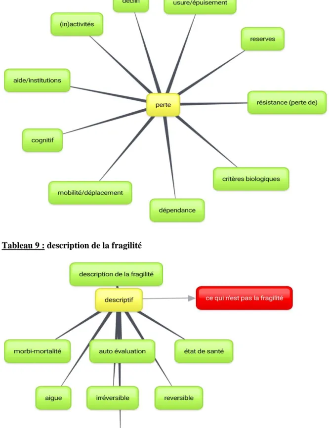 Tableau 8 : perte et fragilité 