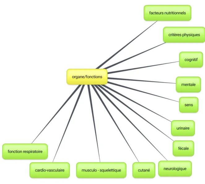 Tableau 12 : organe/ fonctions et fragilité 