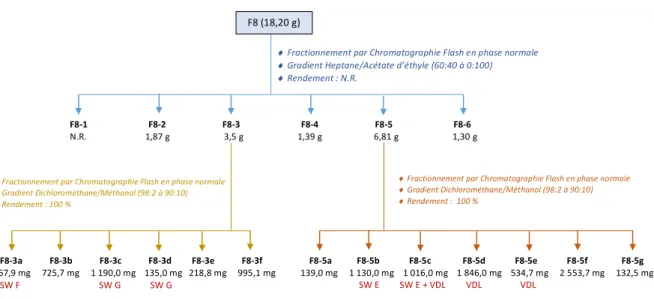 Figure 16: Schéma récapitulatif des travaux de la chromatographie flash de F8 effectuée par Céline Rampal à l’ICSN 