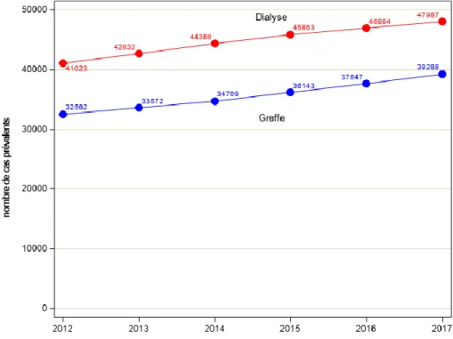 Figure 2 : Evolution du nombre de patients avec une IRT traitée par dialyse ou greffe entre 2012 et 2017  selon le rapport REIN 2017 [3] 