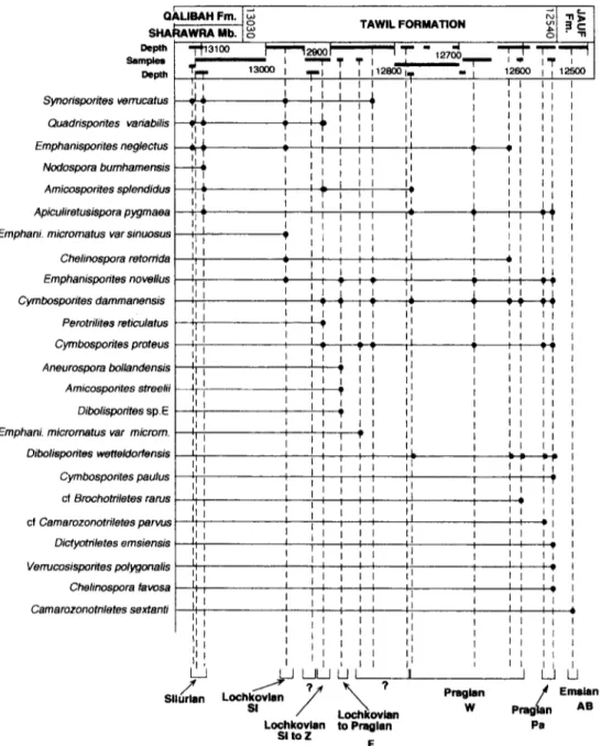 Fig. 2.  Stratigraphic distributions of some selected spores in well DMMM-45. 
