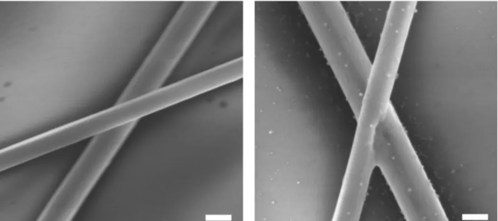 Figure 1: SEM images of AgNW junctions before (left) and after (right) annealing, the  sheet  resistance  of  this  network  reduced  from  1000sq  to  8sq