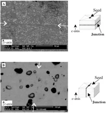 Figure 2: SEM micrographs of the welded samples. (A) Junction along a (100) or (010) plane; (B) junction  along a (001) plane