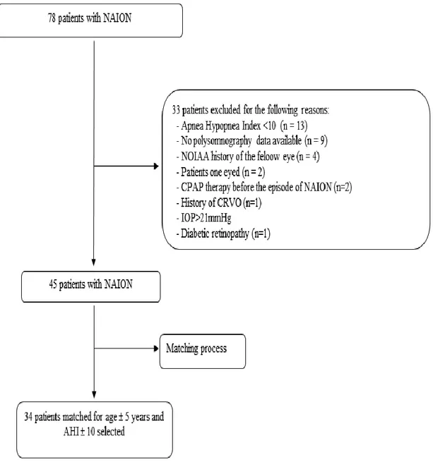 Figure 1. Flow chart showing the reasons for exclusion of patients with NAION.  