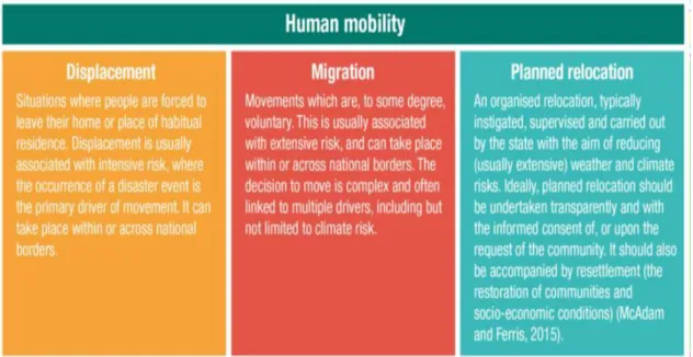 Figure 2: Human mobility and ‘planned relocation’ (McAdam &amp; Ferris 2015)  