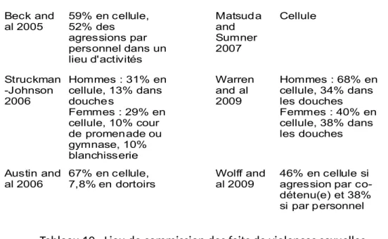 Tableau 10 : Lieu de commission des faits de violences sexuelles  