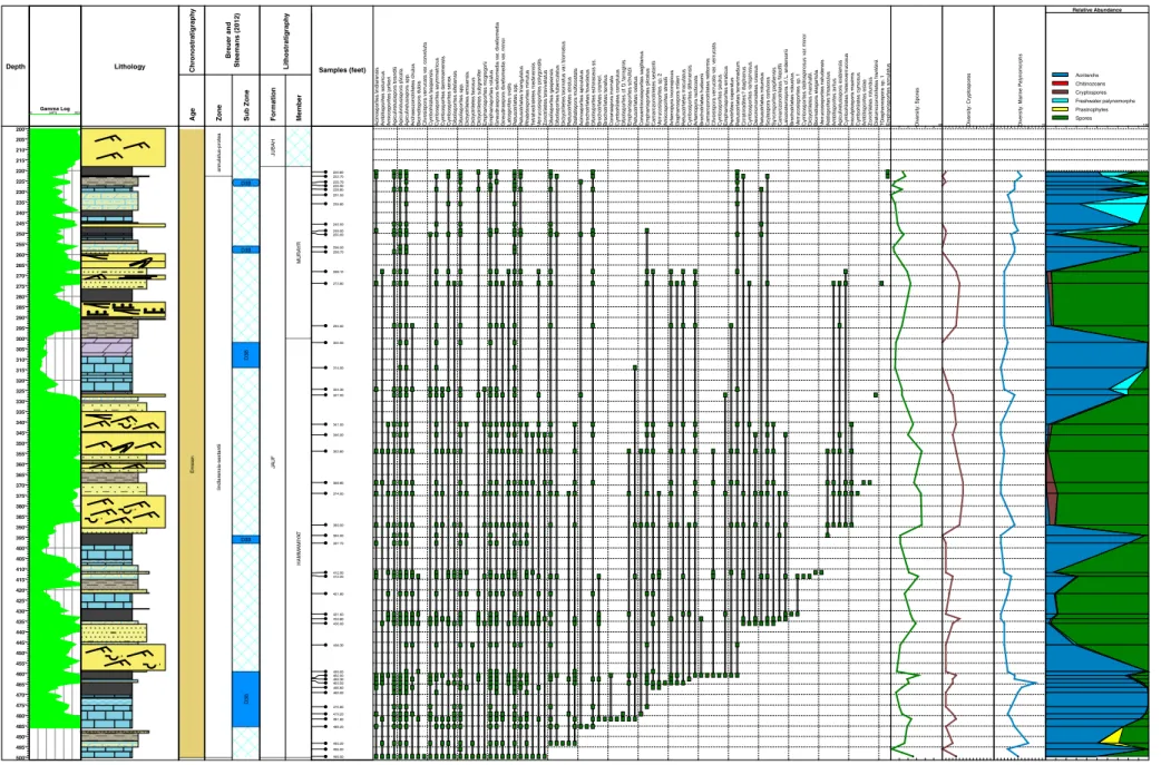 Fig. 8. Stratigraphic ranges of spore species, diversity and relative abundance of environmentally sensitive palynomorphs in JNDL-3.