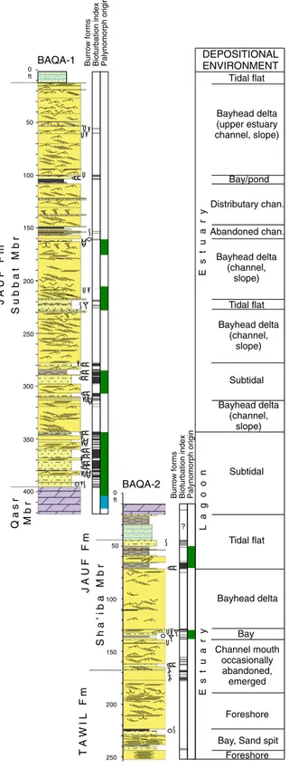 Fig. 2. Generalized core logs from the BAQA core holes, showing main rock types, sedimentary structures, ichnology, intensity of bioturbation structures, intensity of bioturbation, envi- envi-ronmental origin of palynomorph assemblages and inferred deposit