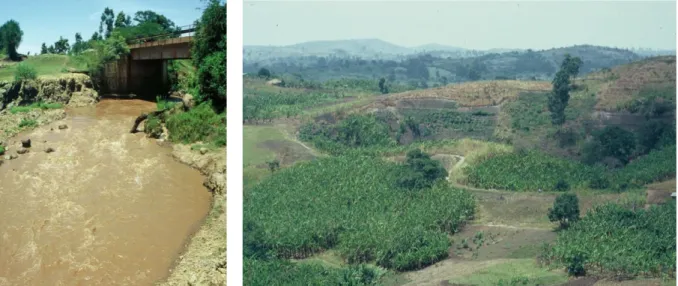 Fig. 3. Soil erosion and flooding due to the large-scale stripping of natural vegetation