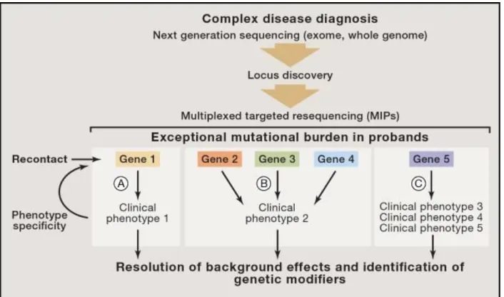 Figure  3.3  extraite  de  Stessman  HA  et  al  (95)  expose  l’approche  « genotype-first »