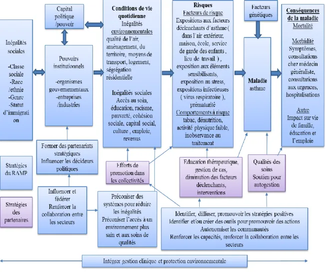 Figure 1. Structure du RAMP (Regional Asthma Management and Prevention)  