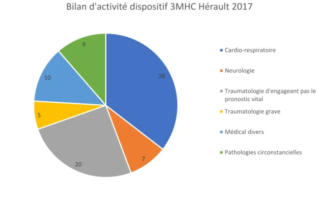 Figure 9 :  Bilan d’activité MCS 2018 des Alpes Maritimes sur 13 interventions  (46) 
