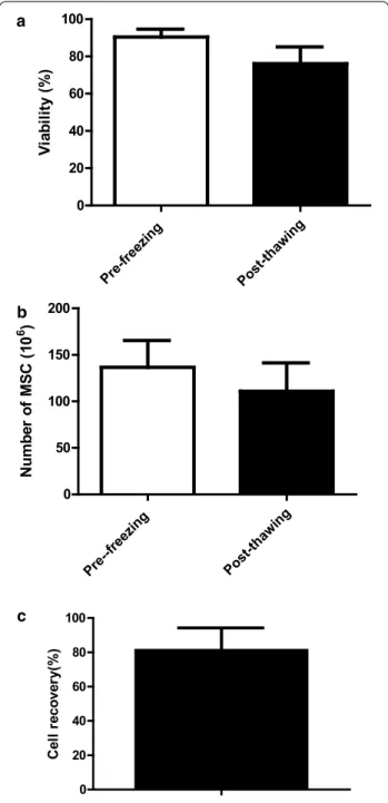 Fig. 4  MSC post-thaw viability and cell recovery. Pre- and post-thaw  MSC viability (a), MSC number (b), as well as recovery of cell number  (c) (N = 170)