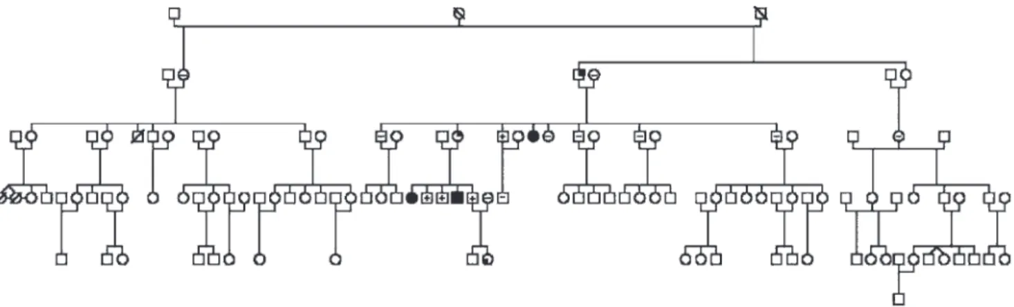 Figure 1 - Genealogical tree of a familial isolated pituitary adenoma (FIPA) family with E174 frameshift aryl-hydrocarbon receptor interacting protein gene (AIP) mutation