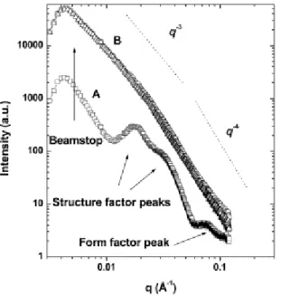 Fig. 1. Small-angle X-ray scattering pattern of a neat triblock copolymer gel (curve A,  ) and a triblock  copolymer gel reinforced with 2.2 wt% hydrophilic silica (curve B,  )