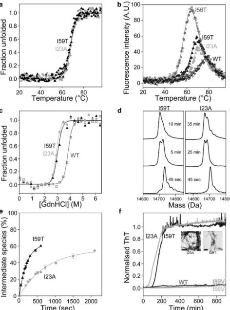 FIGURE 2 Biophysical characteristics of the I23A and I59T variants. (a) Thermal denaturation of I23A (gray circles) and I59T (black triangles) monitored by far-UV CD (222 nm)