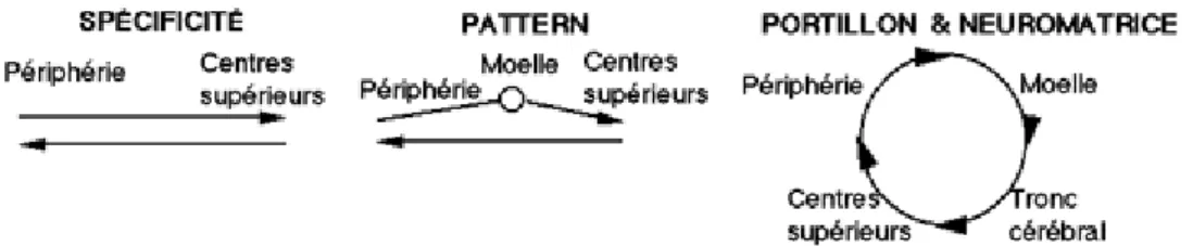 Figure 1 : Evolution des théories de la douleur. Charest, Lavignolle, Chenard, Provencher et Marchand,  1994 École interactionnelle du dos