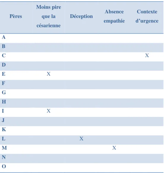 Tableau V : Thèmes marginaux 