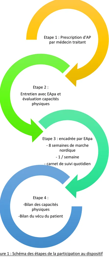 Figure 1 : Schéma des étapes de la participation au dispositif Etape 1 : Prescription d'AP 