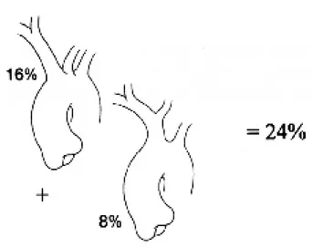 Figure 5 : Variations anatomiques de l’origine du TABC. Dans 24 %  des cas, la carotide primitive gauche a un ostium commun avec le  TABC (16 % des cas) ou prend origine au départ du TABC (8%)
