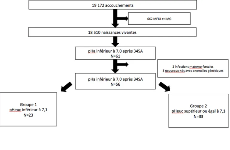 Figure 2 : flow chart 