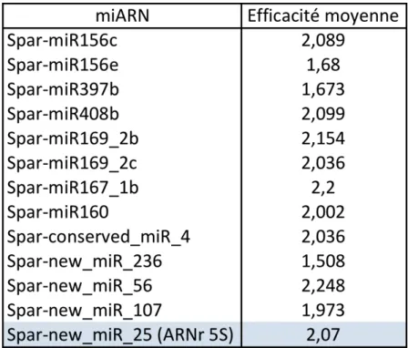 Tableau IV : Efficacités moyennes d’amplification des différents miARNs suivis. 