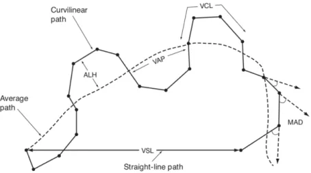 Figure 12 - Terminologies standards des variables cinétiques mesurées par les systèmes CASA (manuel de l'OMS 2010) 