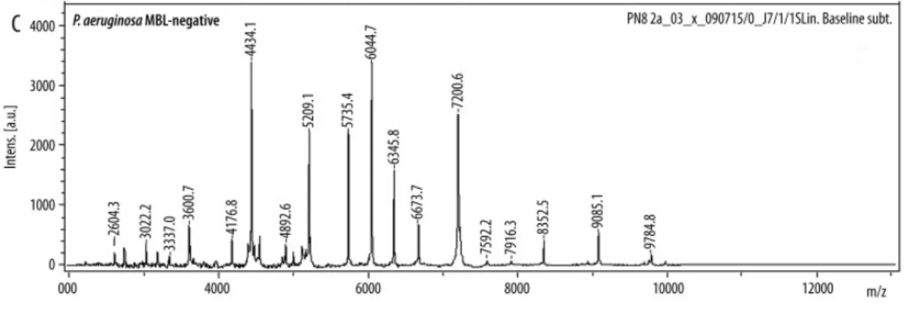 Figure 6 : Spectre de masse MALDI-TOF d’une souche de Pseudomonas aeruginosa non  productrice de métallo-bêta-lactamase [13] 