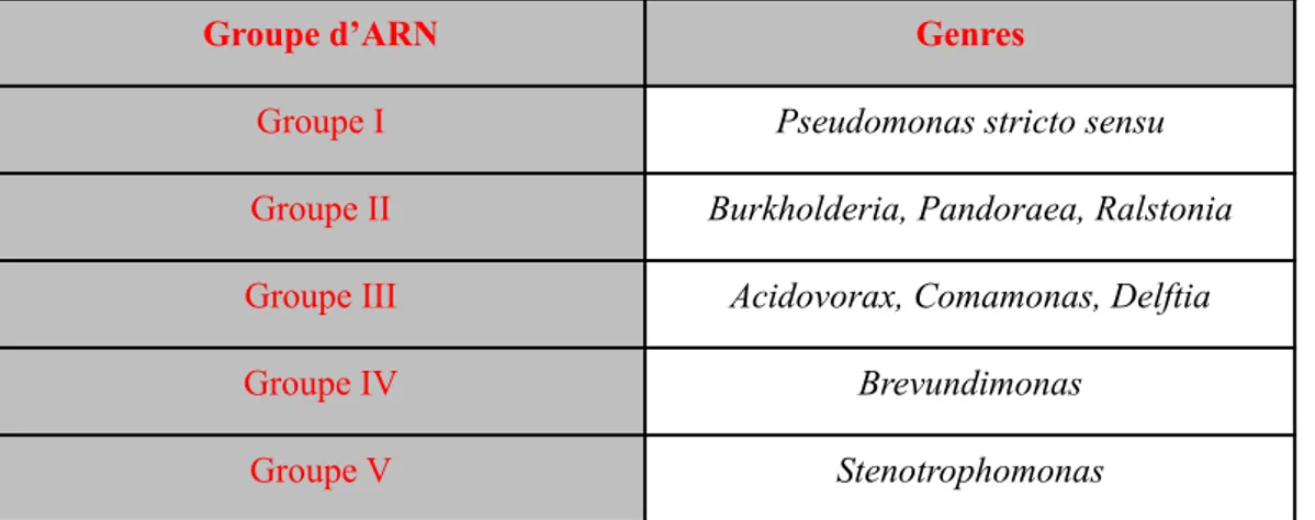Tableau 7 : Classification des Pseudomonaceae selon Palleroni et Doudoroff [26, 30] 