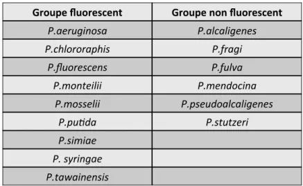 Tableau  8  : Espèces  de  Pseudomonas  sp.  appartenant  aux  groupes  fluorescent  et  non  fluorescent [33] 