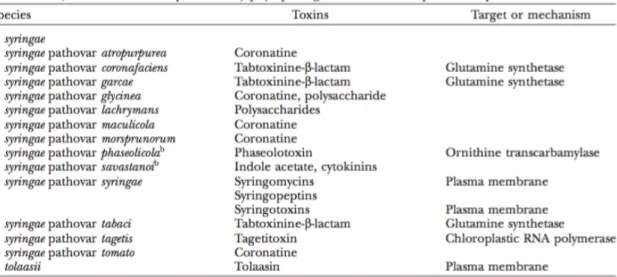 Tableau  11  :  Phytotoxines  produites  par  P.  tolaasii  et  les  différents  pathovars  de  P