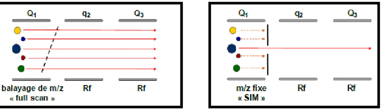 Figure 9 : Mode d’acquisition Full Scan (à gauche) et SIM (à droite) 
