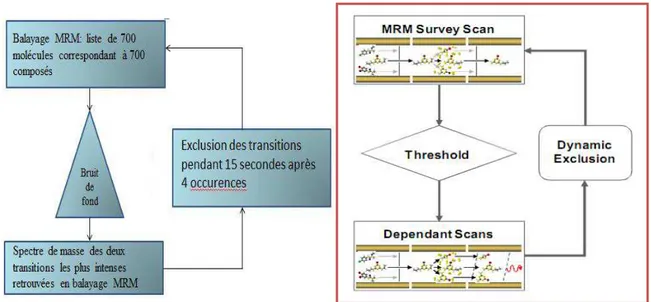 Figure 13 : Principe du screening MTS : balayage MRM-IDA-EPI 