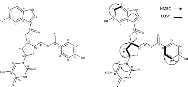 Figure 24.  Structure of compound 1 and selected HMBC and COSY correlations