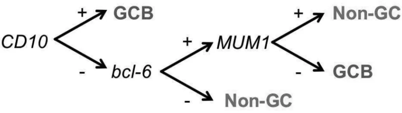 Figure 3 : Algorithme de Hans 