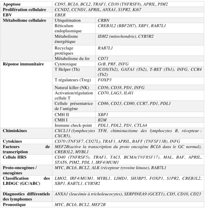Tableau 4 : Liste des gènes RT-MLPA adaptée au LHc 