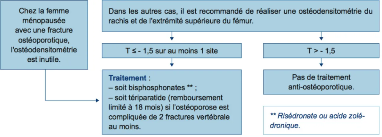 Figure 2 (4)  : Arbre décisionnel issu des recommandations de l’HAS de Juin 2014. Le traitement par  biphosphonates concerne tout patient sous CTLC ayant une Densité Minérale Osseuse (DMO) &lt;1,5 et toute  femme ménopausée sous CTLC ayant présenté une fra