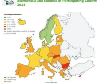 Figure 4 - Pourcentage d’Escherichia coli  résistants (R+I) aux fluoroquinolones en  Europe en 2003 1 