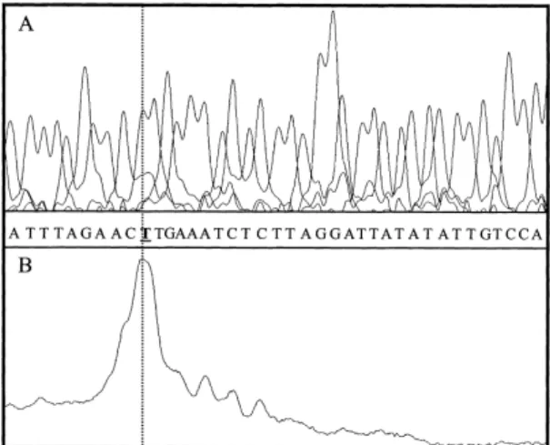 Fig. 4. Transient expression of tiHSP70 promoter/LacZ in cultured cells. A: Schematic representation of the reporter constructs used.