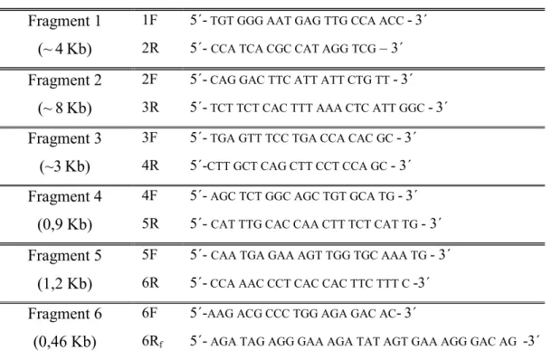 Table  1: Sequences of the primers used for the  amplification of Ovis aries PIT1  gene  with the approximate length of each PCR fragment