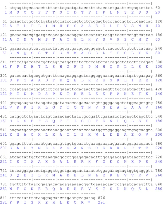 Figure 4: Sequence of the coding region (876 bp) obtained after organization of the  sequenced 5787 bp of the Ovis aries PIT1 gene