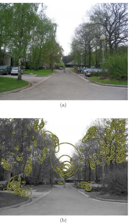 Figure 3.4: Example of interest point detection. (a) An illustrative image that is taken from the database that has been collected for this research work [Jod05].