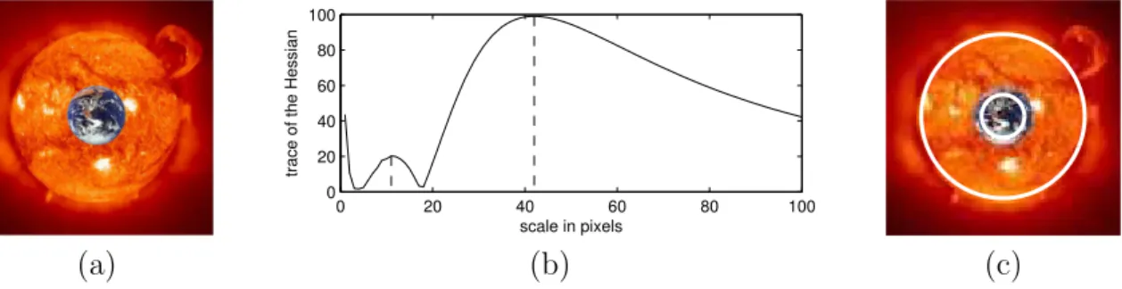 Figure 3.6: Illustration of the computation of the intrinsic scale for blob features. (a) The source image the size of which is 121 × 121 pixels