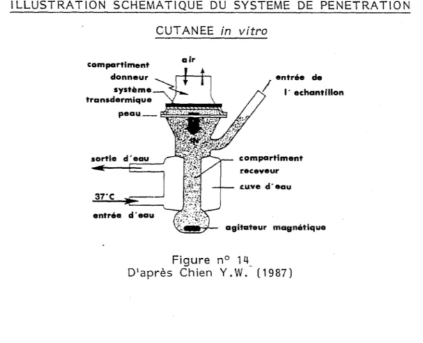 ILLUSTRATION  SCHEMATIQUE  DU  SYSTEME  DE  PENETRATION 