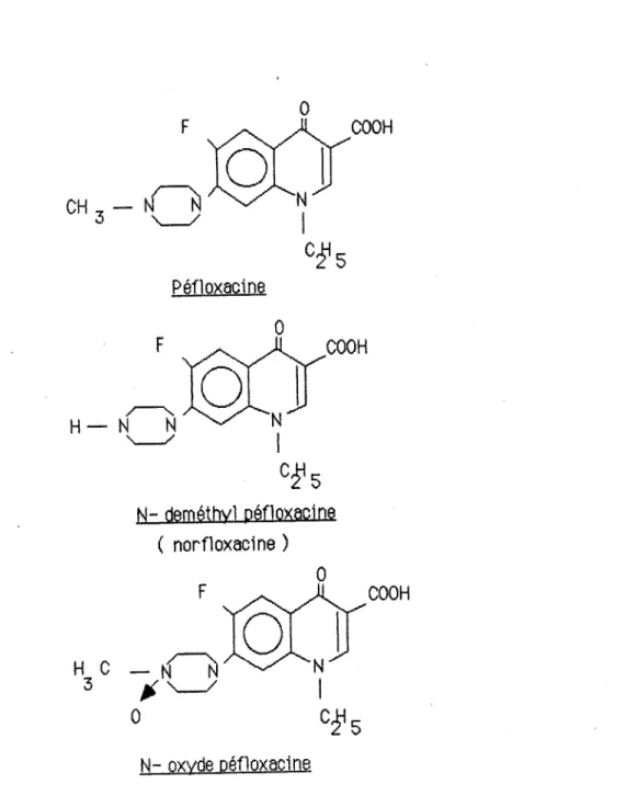 tableau  n  °  16  principaux  métabolites  de  la  péfloxacine 